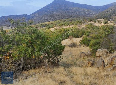 Özpınar,dan Bostandere,de Satılık Tarla 3298 M2 Dağ Yolu Var !