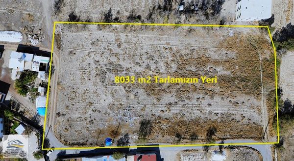 Bor'da Mahalle İçi Yatırımlık 4852 M2 Tarla