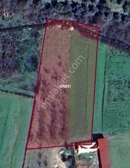 Adamarka’dan Kuşadası Satılık Tarla | Kirazlı Köyü