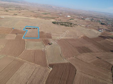 İlbey // Şuhut Merkez Karlık Yoluna Yakın 7367 M² Tarla