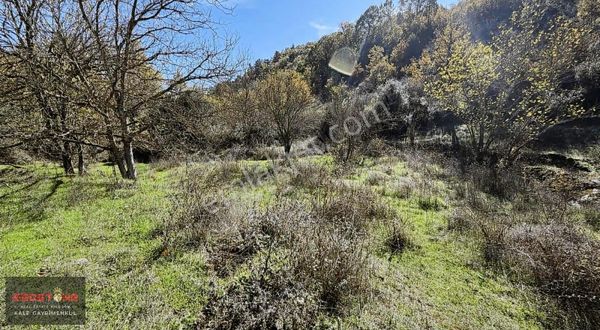 Kazdağları Bardakçılarda Termal Müstakil Bahçe Araç Takaslı