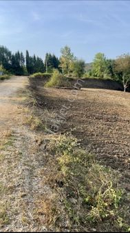 Düzce Yeşilyayla 'da 175 M2 Arsa