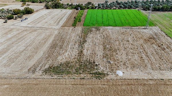 Muğla Milas Bahçeyeni De Havalimanı Yakını Muhteşem Tarla