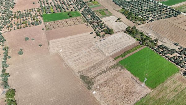 Muğla Milas Bahçeyeni Havalimanı Yakını Büyük Parça Tarla