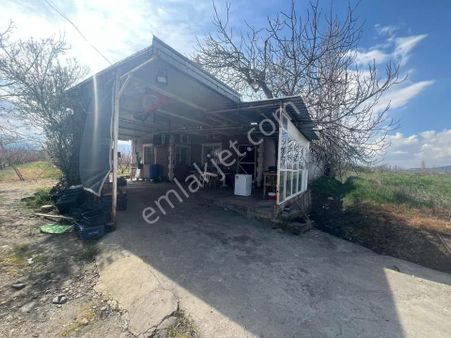 İzmir Kemalpaşa Bağyurdu'nda 10.450m²satılık Şeftali Bahçesi