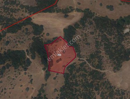 Elfiden Akarsu Mahallesinde Satılık 3700 M2 Tarla