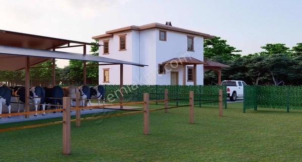 Menteşe Yörükoğlunda Proje Hazır 5.461 M² Yatırımlık Tarla