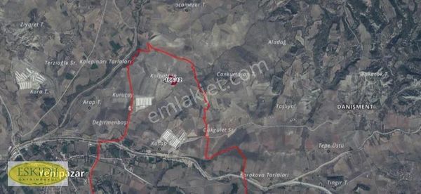 Yenipazarda Yola Cepheli 8407 M2 Satılık Tarla