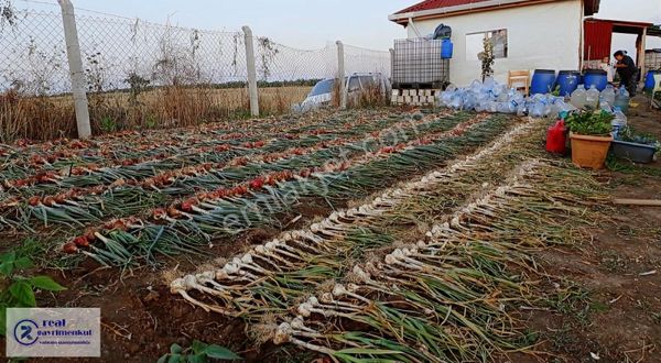 Muratlı Balabanlı Bağlar Mevki 2095 M² Satılık Bağ Yeri