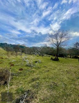 Yeşilyayla'da 1467 M2 Satılık Hobi Bahçesi