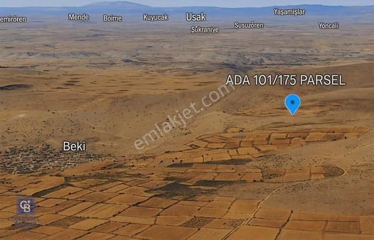 Uşak Karahallı Beki Köyü'nde 1.486 M² Satılık Tarla