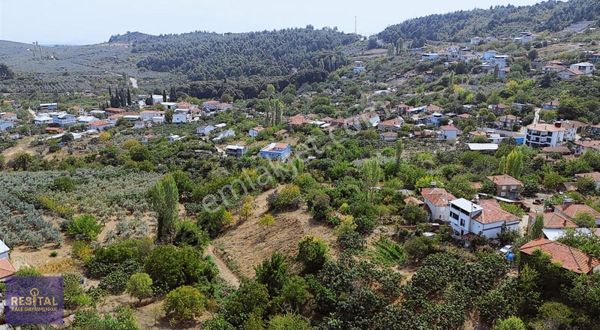 Çepni'de Deniz Manzaralı Arsa(köyiçi)