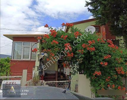 Bilecik Merkez Selbükü Köyü Satlık Müstakil Ev Ve Zeytinlik