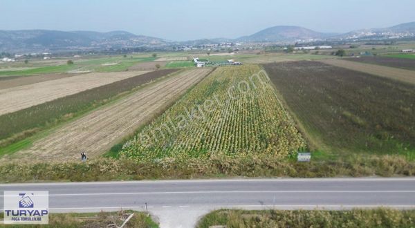 Turyap'tan Gerenköy'de Asfalt Yola Cepheli Satılık Arsa