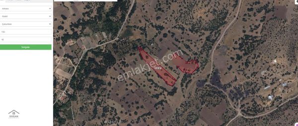 Güdül Çukurören'de Tek Tapu 9 Dönüm Satılık Tarla