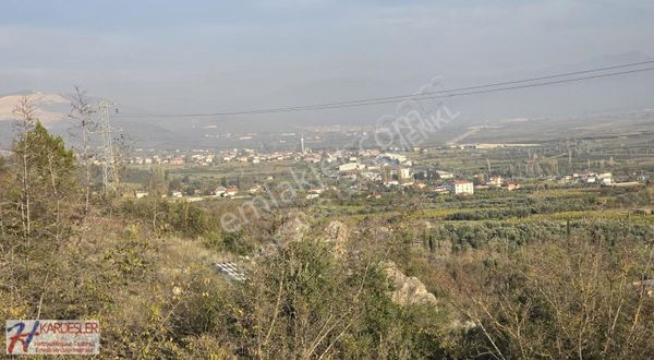 Pamukova Şeyhvarmaz Mah Resmi Yola Cephe Manzaralı Verimli Arazi