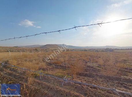 Bünyan Gergemede 3.300m2 Etrafı Çitlerle Çevrili Satılık Tarla