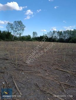 Poyraz'dan Trakya'nın Engüzel Köyünde Arsa Kıvamında Tarla