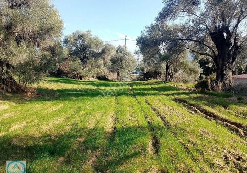 Atlantik Gayrimenkul Den Satılık İmarlı Arazi