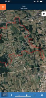 Bf Grouptan Kabakulakta Üzerinde Kavaklık Bulunan Satılık Tarla