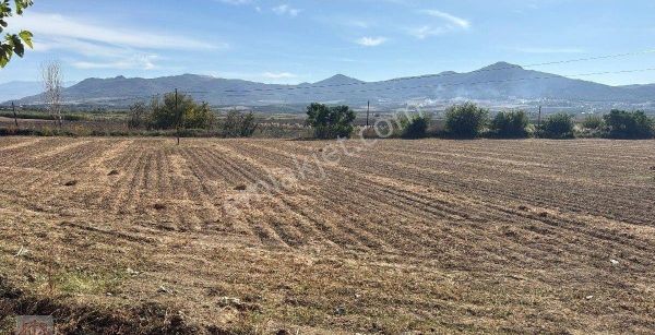 Ceyhan Veysiye Yolu Üzerinde 27 Dönüm Satılık Tarla