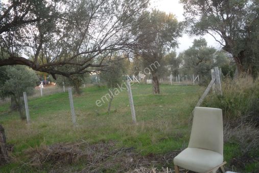 İzmir Torbalı Gold Emlaktan Satılık Bahçe