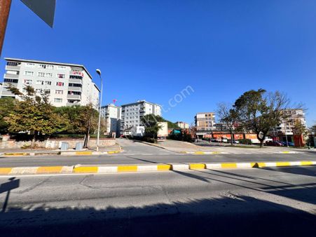 Pendik Kurtköy Yenişehir Palmek Sit Kiralık Yeni Boyalı Sonkat