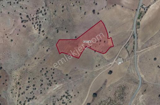 Tekin Oğlun'dan Meram Karadiğin'de 3.800 M² İntikal Tapulu Tarla