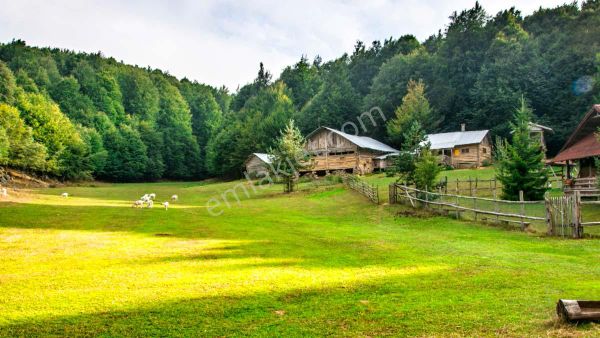 İznik Akın Emlak'tan Elmalı'da Harika Bir Fırsat: Konut İmarlı 728m2 Arsa