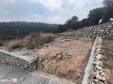 Safir'den Mirastan Bölme Arsa