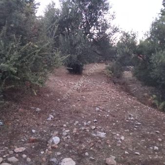 Fethiye Gökben Mah Satılık İmarlı Arsa