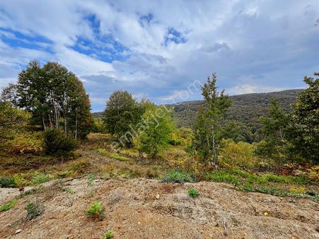 İznik Kutluca Köyü'nde Kaçırılmayacak Fırsat 566 M2 Tarla *
