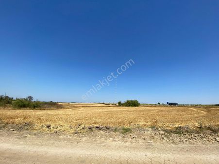 Tekirdağ Saray Kurtdere Mahallesinde 560 M2 Sahibinden Hisseli Tarla