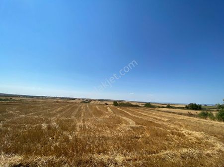Tekirdağ Saray Kurtdere Mahallesinde Sahibinden Hisseli Tarla Tüm Parseller