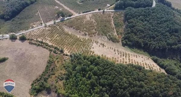 Re/max Mavi'den Yola Cepheli Fındık Bahçesi