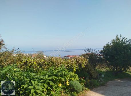 Sönmez'den Perşembe'de 3 Kat İmarlı Satılık Arsa