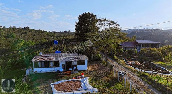 Sönmezden Burhanettinde Manzaralı Fırsat Arsa Ve Ev