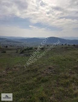 Şile Bucaklı'da 5449 M2 Satılık Arsa