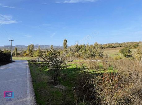 Dialog Plus Gayrimenkulden Yolçatı'da 13.240 M2 Kıymetli Arazi