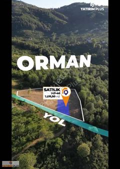 Yatırımplus'tan Atakum'da Ormana Komşu Ev Yapılabilir Tarla