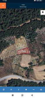 Muğla Menteşe Algıda Yatırımlık Satılık Yan Yana 2 Parsel