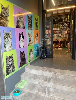 Karşıyaka Da Cadde Üstü Hazır Müşterili Devren Kiralık Petshop