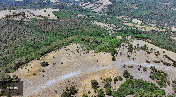 Rens Gayrimenkulden Altıeylül Bozende Müstakil Tarla
