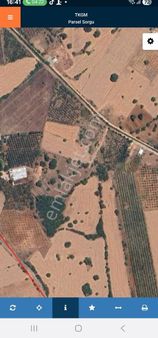 Kupon Tarla Başköy De Satılık Yol Su Elektrik Mevcut