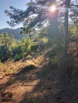 Burdur Bucak Kızılseki Satılık Tarla