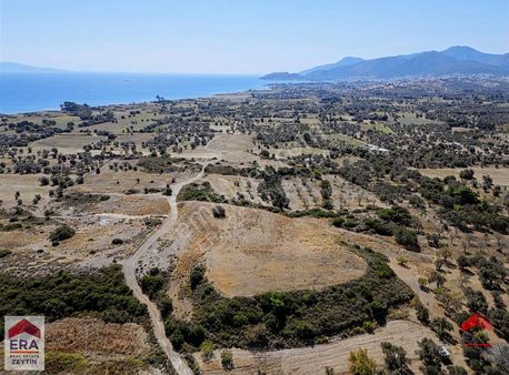 Datça Kızlan'da Satılık 11.255 M² İmar Planında Arsa