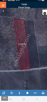 Oğuzeli Çatalsuda Asfalt Üzeri Fıstıklık