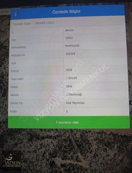 Mersin Silifke İmamuşağı Verimli 5800 M2 Zeytin Bahçesi