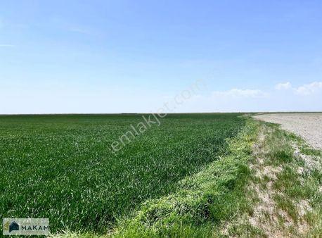 Sarayönü Başhüyük'te 126.000m2 Müstakil Satılık Tarla