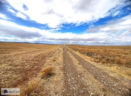 Çumra Alibeyhüyüğün'de Satılık 11.250m2 Müstakil Tapulu Tarla